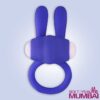 Kingfansion Mini Vibrating Rabbit Cock Ring (Blue) CR-017